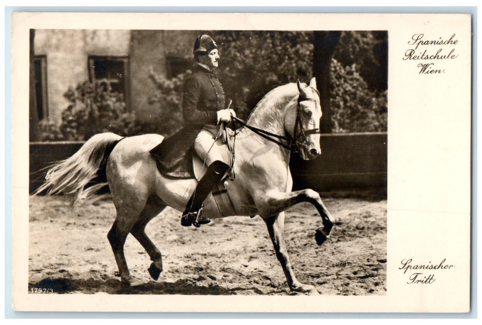 c1910 Spanish Riding School Spanish Kick Wien Vienna Austria RPPC Photo Postcard