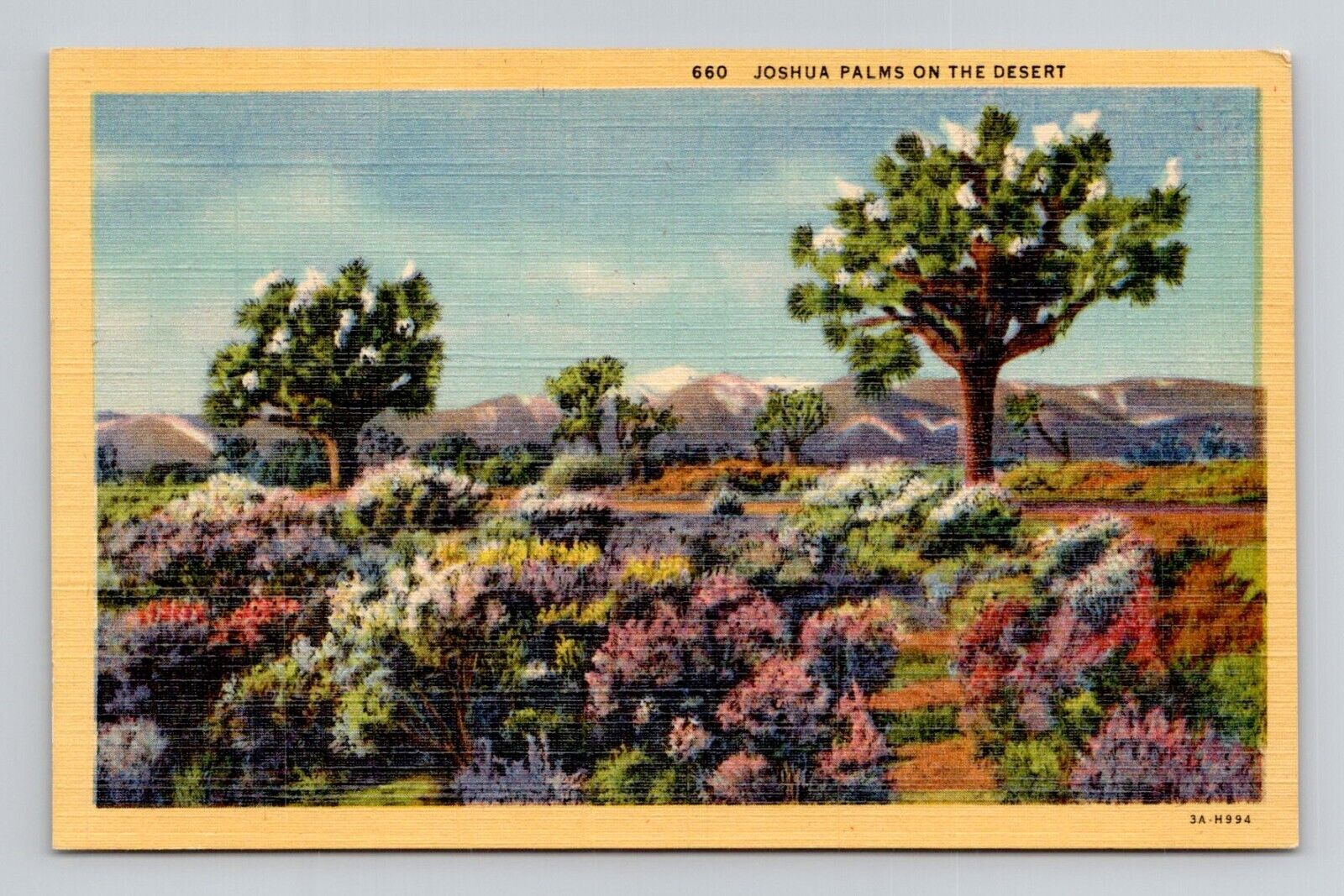 Postcard Desert Joshua Palm Trees California CA, Vintage Linen K2