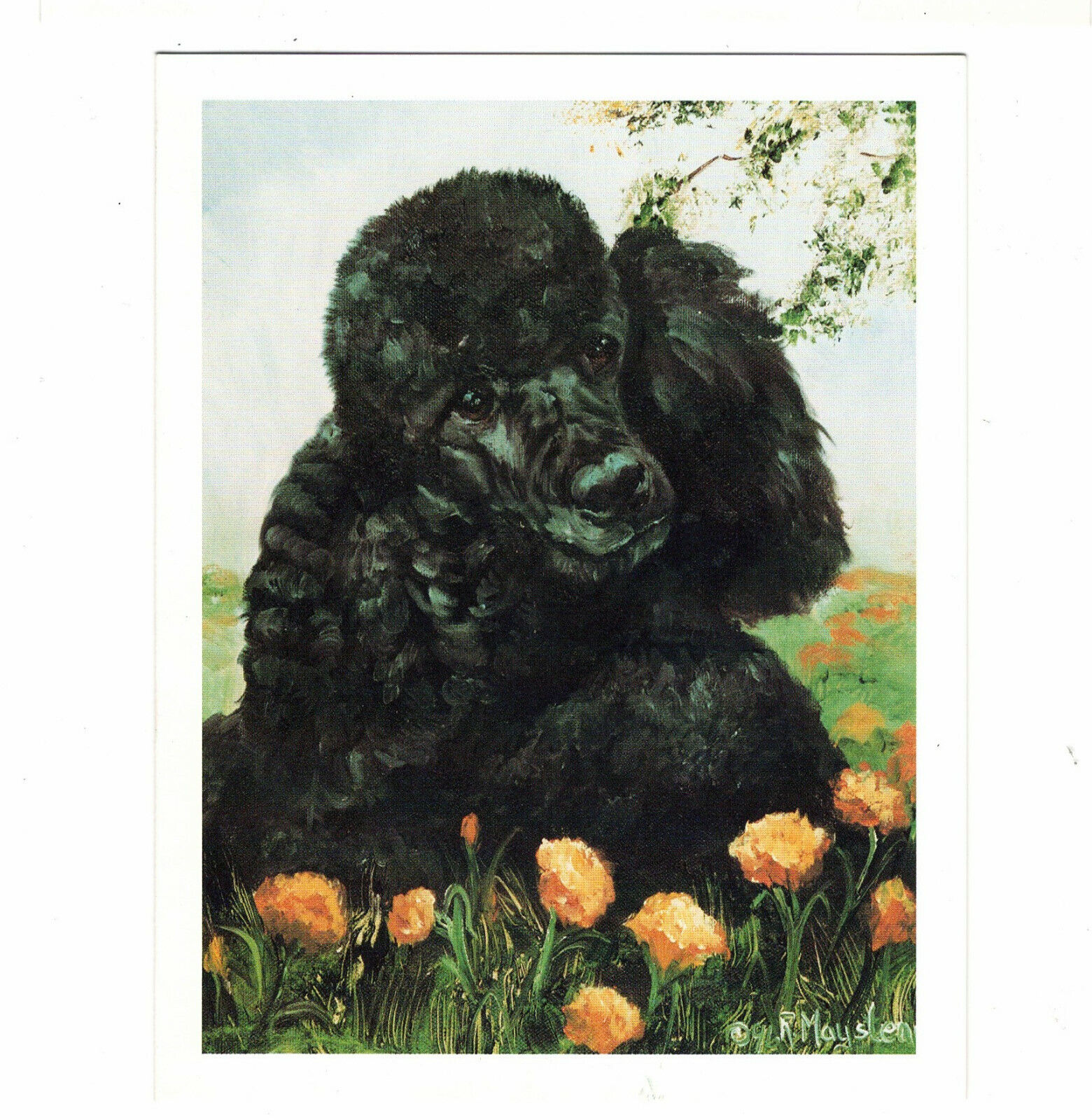 New Black Poodle With Flowers Notecard  Set 6 Blank Note Cards By Ruth Maystead