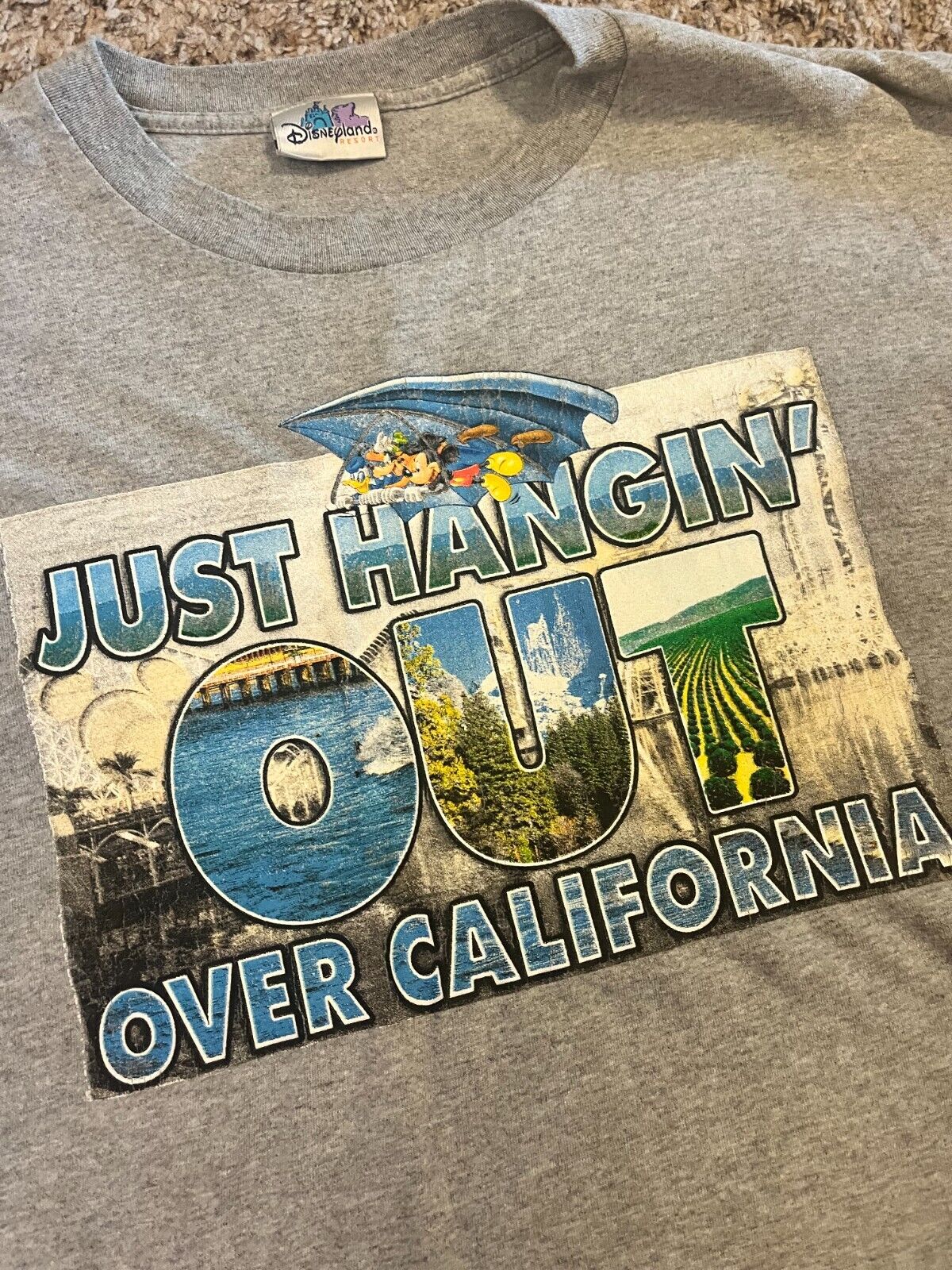 Vintage Disney California Adventure Soarin\' Over California Shirt Size L 
