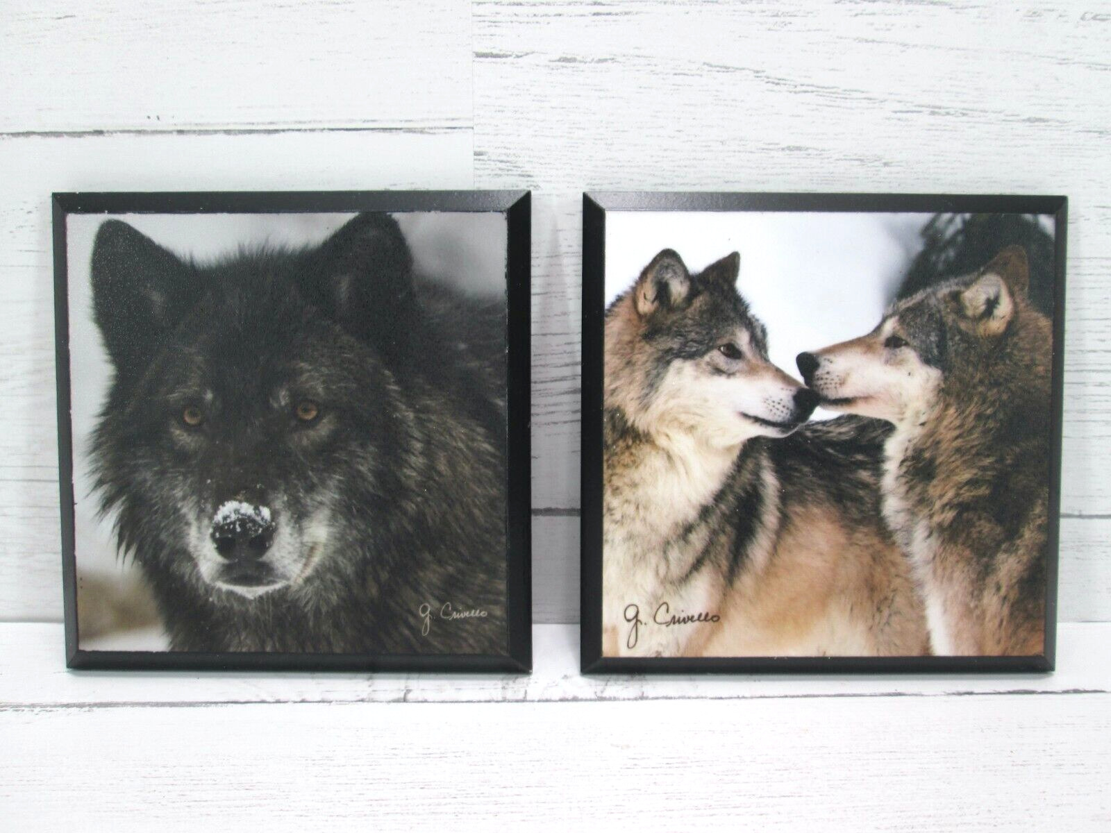 Wolf Coaster Set 2 Wood Photograph Nature Photography J Crivello Wall Plaque 4\