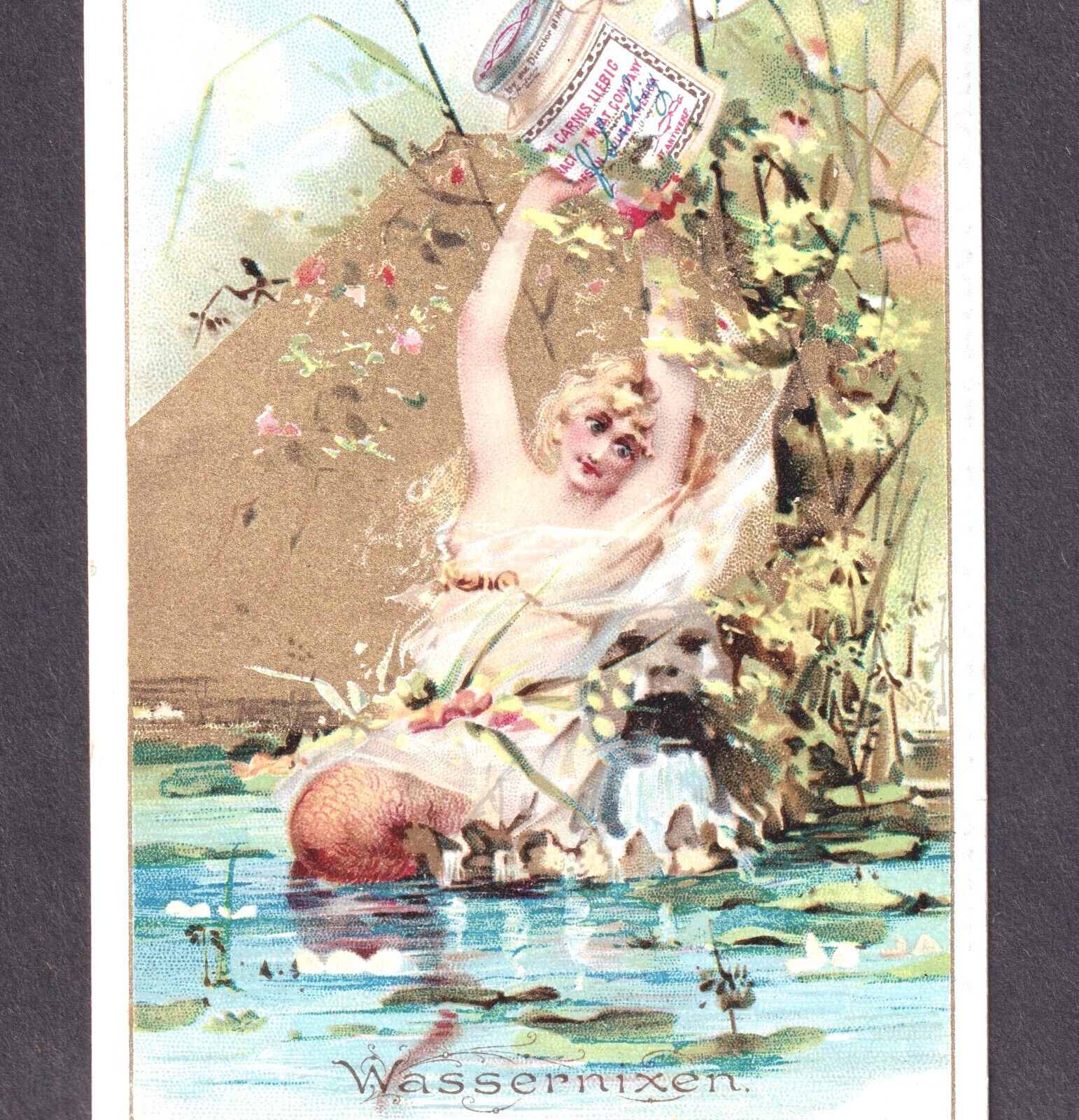Victorian Blonde Mermaid 1890 Antique Adv. Trade Card -Liebig Beef Broth Extract