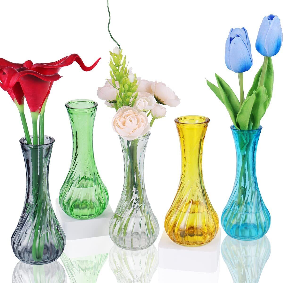 Glass Bud Vase Set of 5