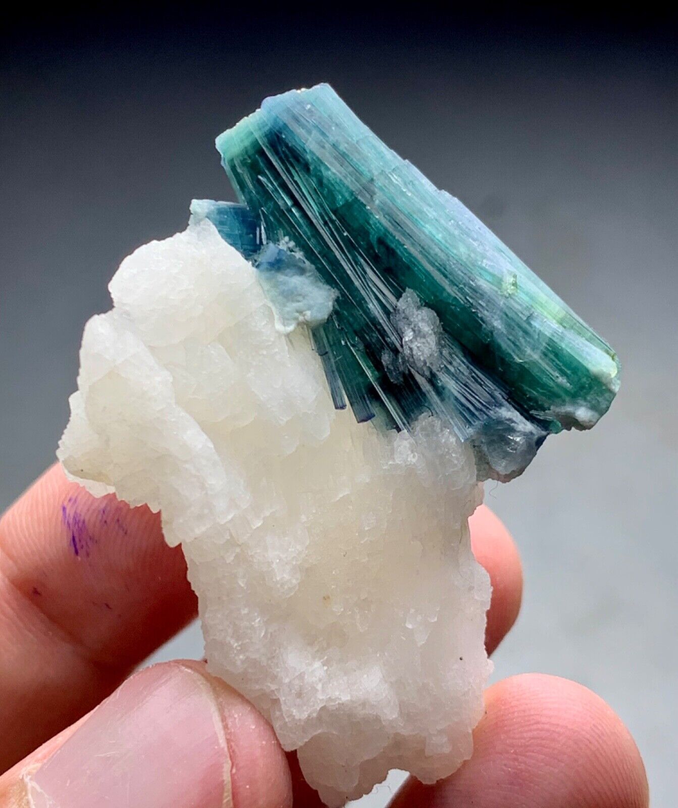 102 Carat Indicolite Tourmaline Crystal Specimen From Afghanistan