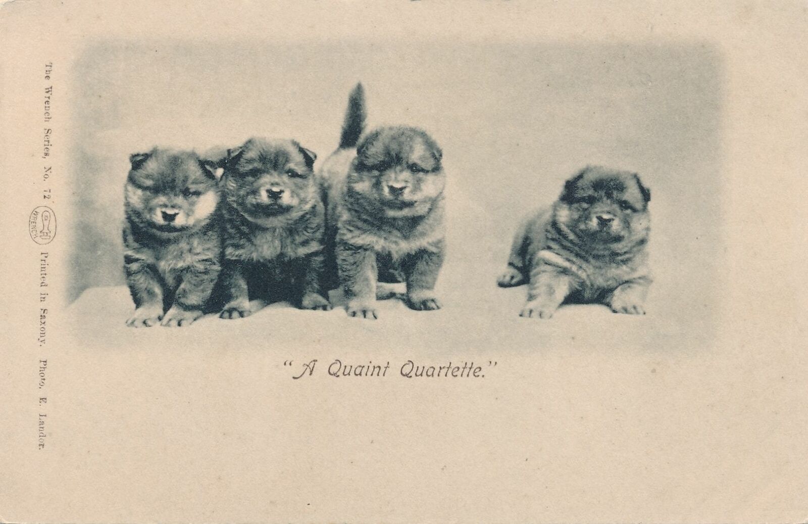 Four Dogs A Quaint Quartette - udb (pre 1908)