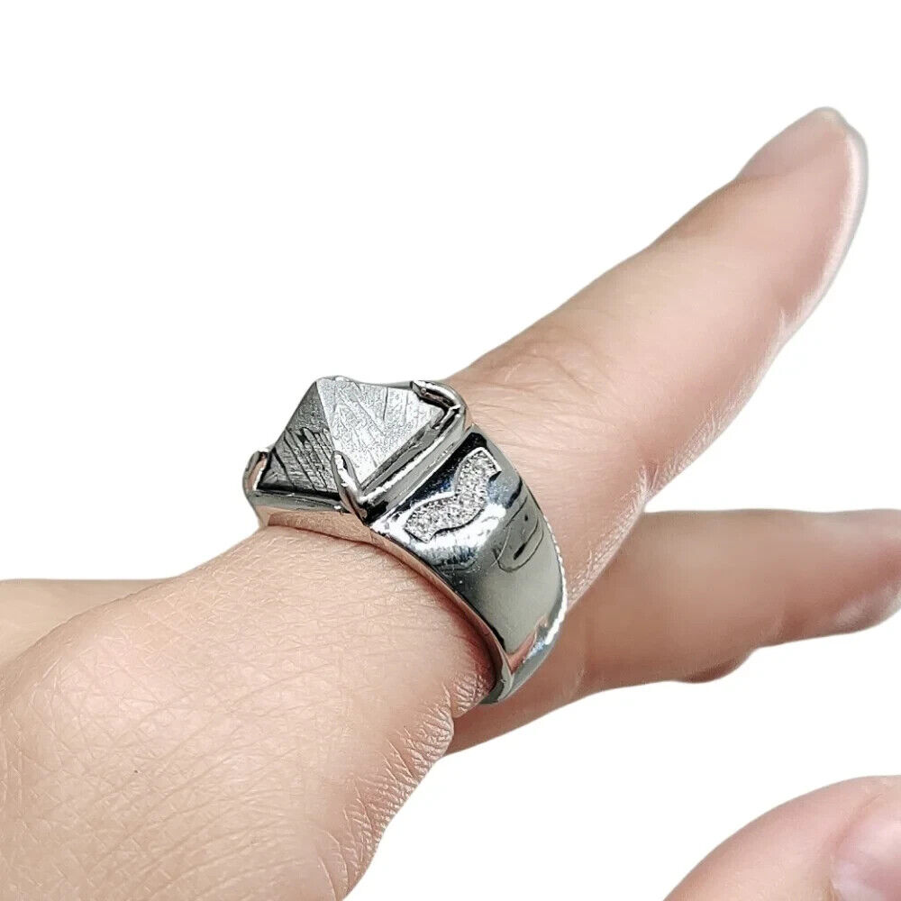 Muonionalusta meteorite ring Meteor Wedding Ring TA344(Ring adjustable)