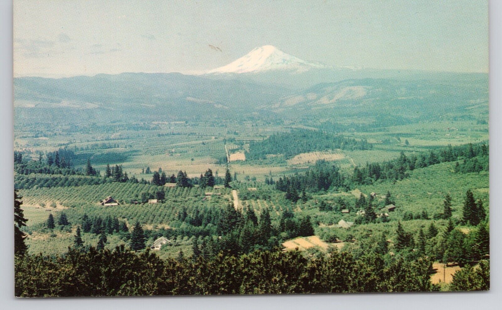 Postcard Mt Adams Washington