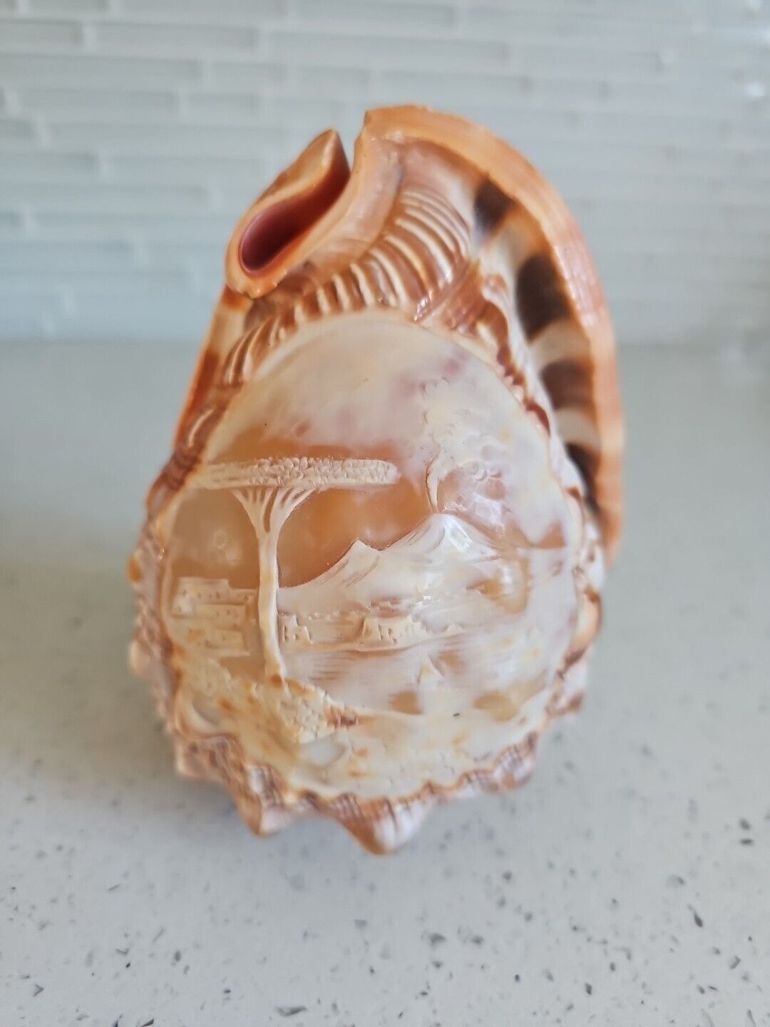 Rare Italy Cameo Carved Conch Shell Lamp Shade  Subject Vesuvius Erupted 79 AD