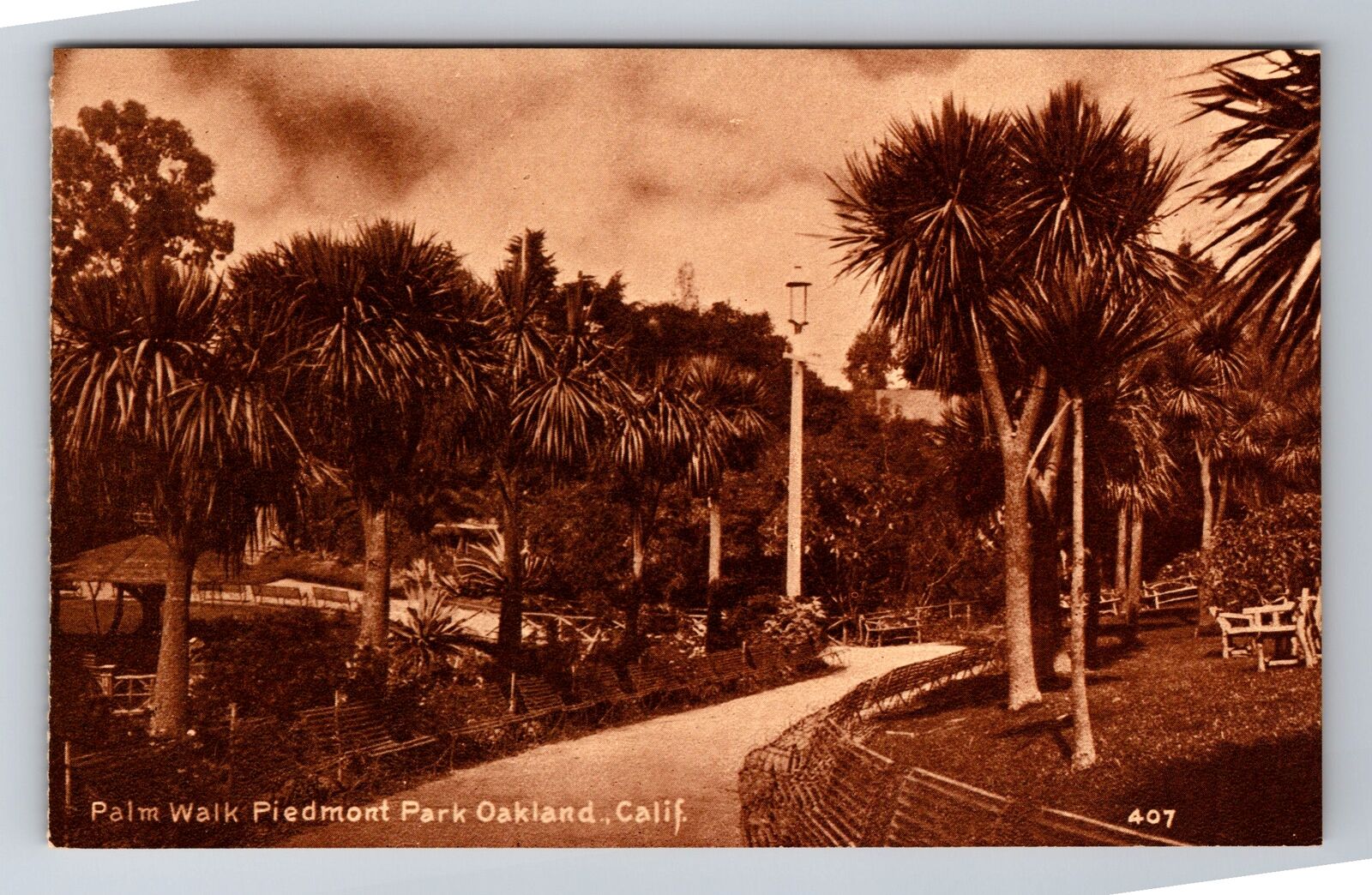 Oakland CA-California, Palm Walk Piedmont Park, Antique, Vintage Postcard