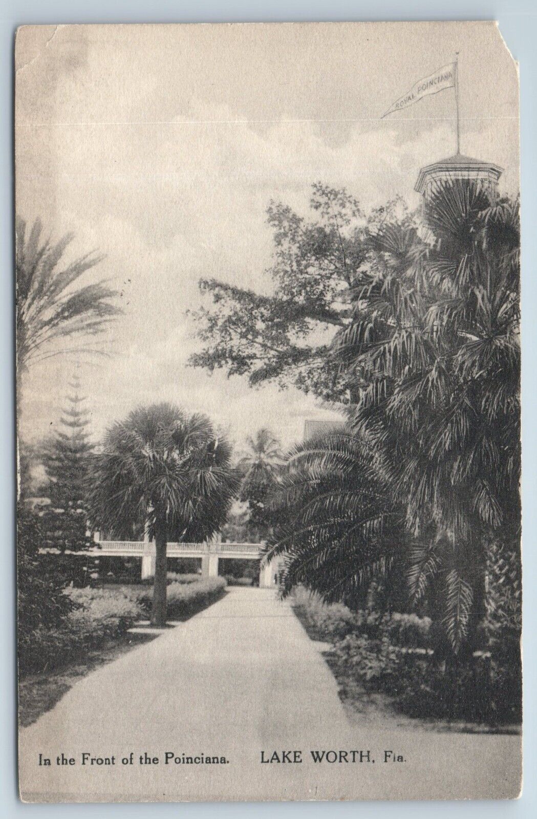 Postcard In Front of Poinciana Hotel Lake Worth Florida Albertype