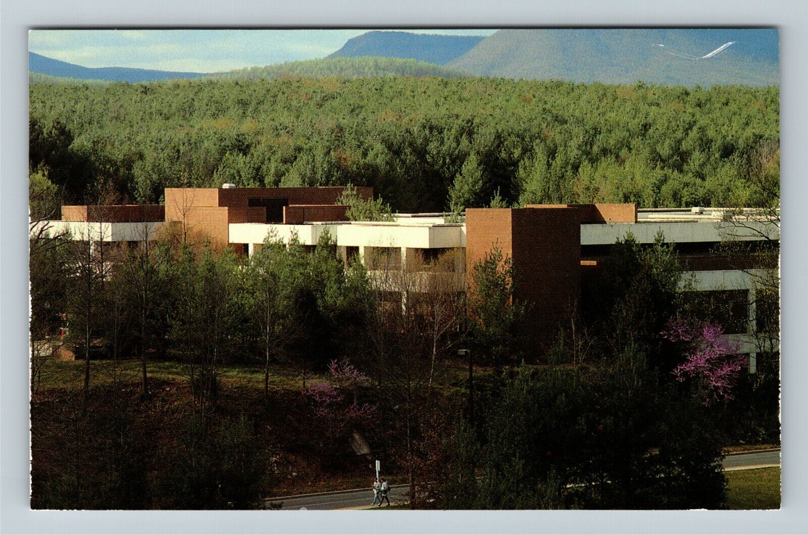 Lexington VA-Virginia, Washington And Lee University, Lewis Hall Chrome Postcard