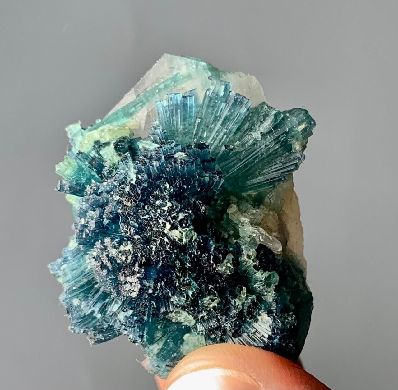 105 Cts Natural Blue Tourmaline Crystals Bunch Specimen From Afghanistan