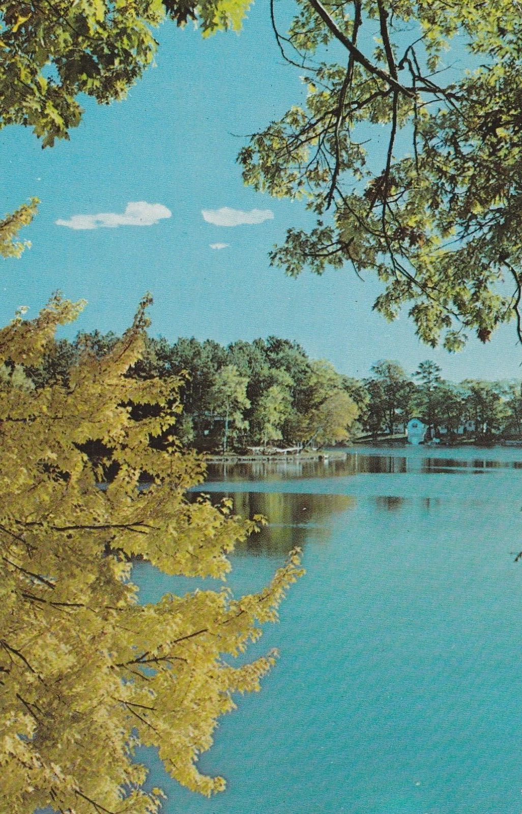 Vintage Postcard Autumn Splendor Vacationland Scene Marion Michigan Unposted