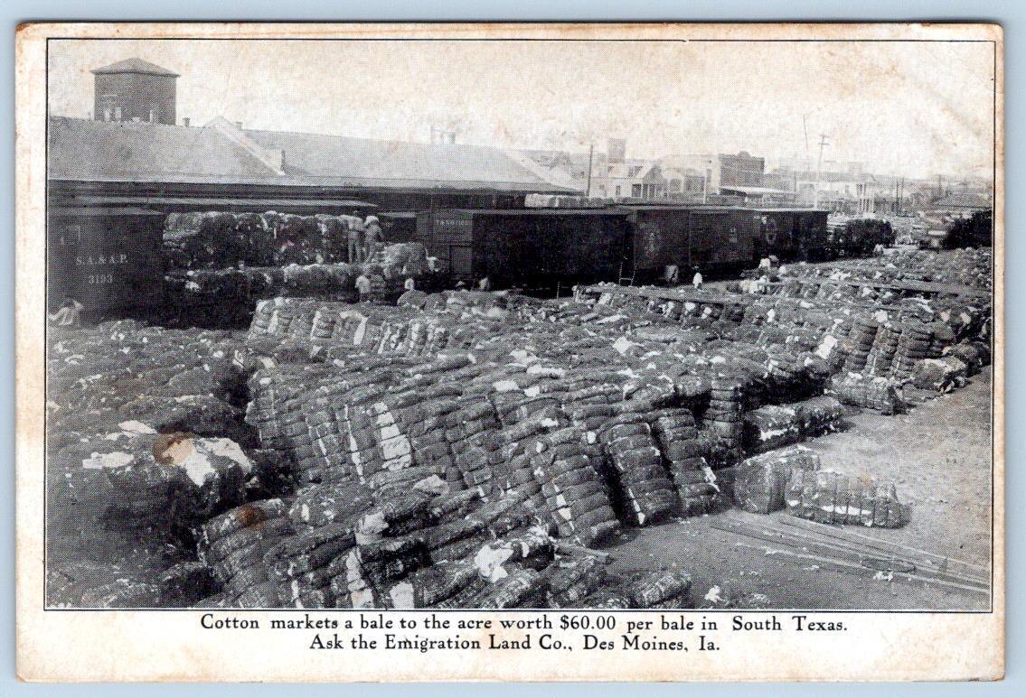1910\'s COTTON $60 A BALE SOUTH TEXAS EMIGRATION LAND CO DES MOINES IA POSTCARD