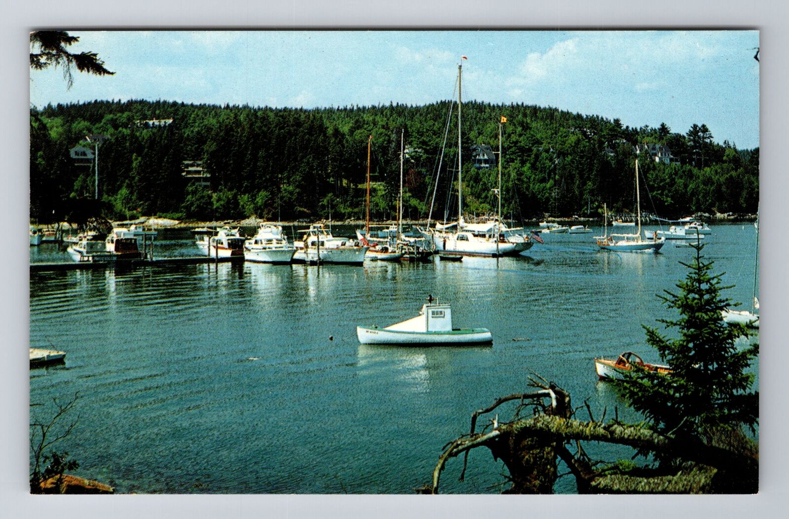 Mount Desert Island ME-Maine, Northeast Harbor, Antique, Vintage Postcard