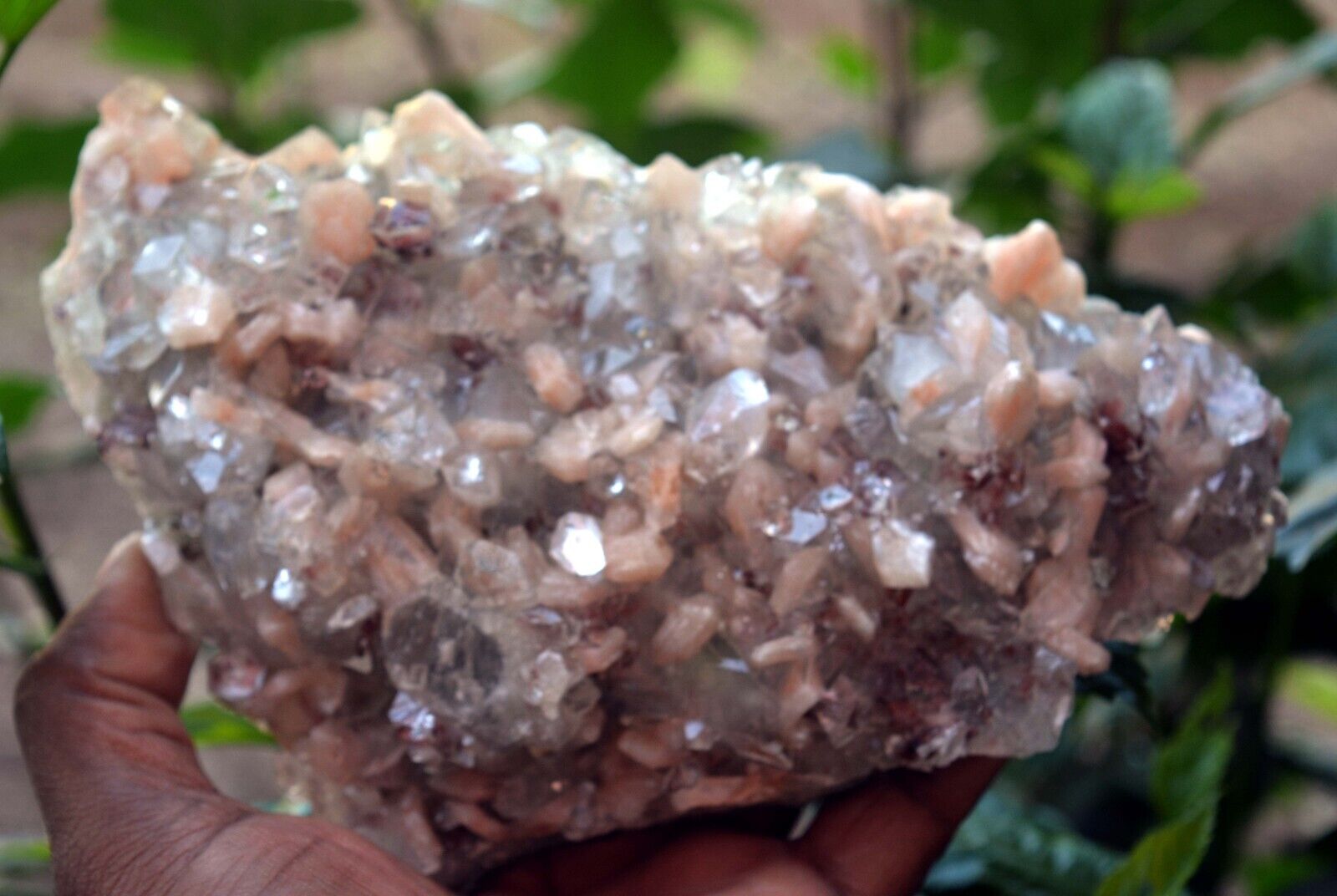 Pontead APOPHYLLITE On STILBITE & Red HEUALNDITE Minerals J-1.24