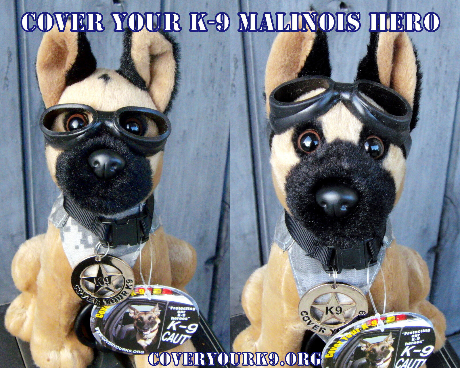 Belgian Malinois K9 MWD Police Dog with Doogles Badge Camo Vest Fundraiser