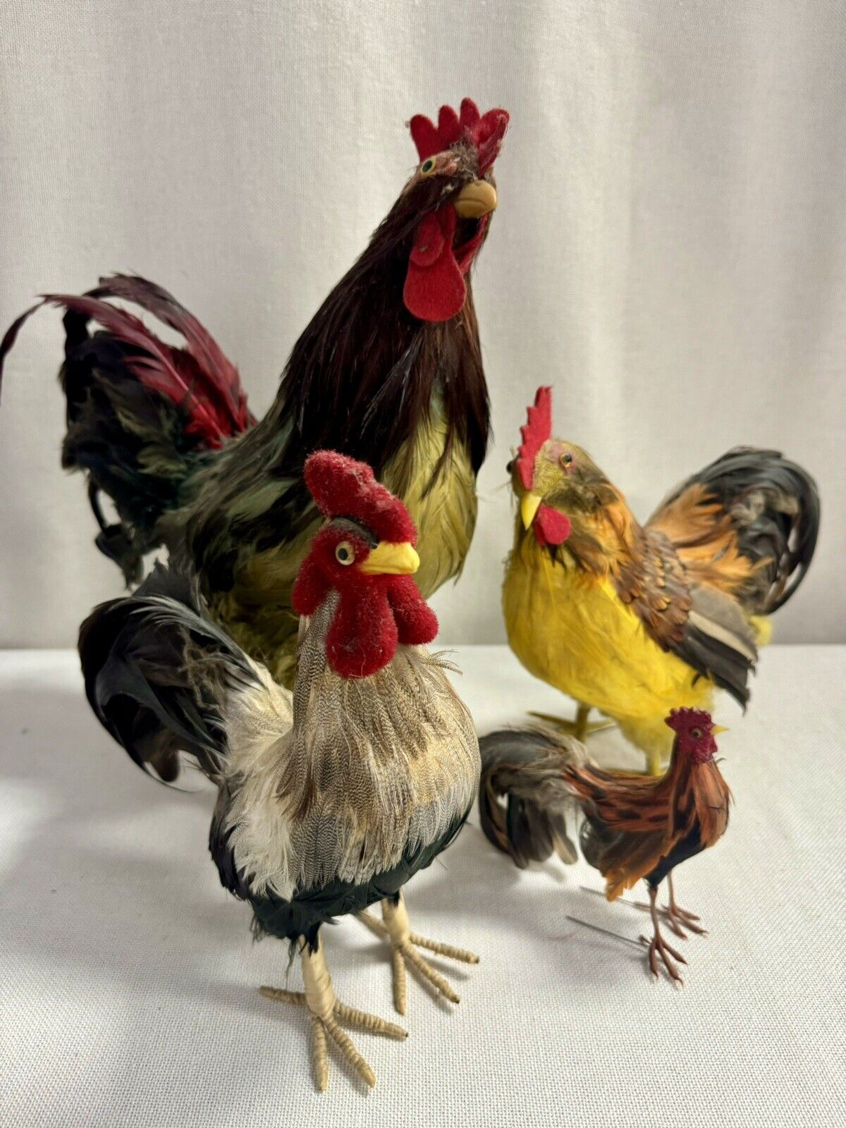 Chicken Family Of Four W Real Feathers CHICKENS 14”
