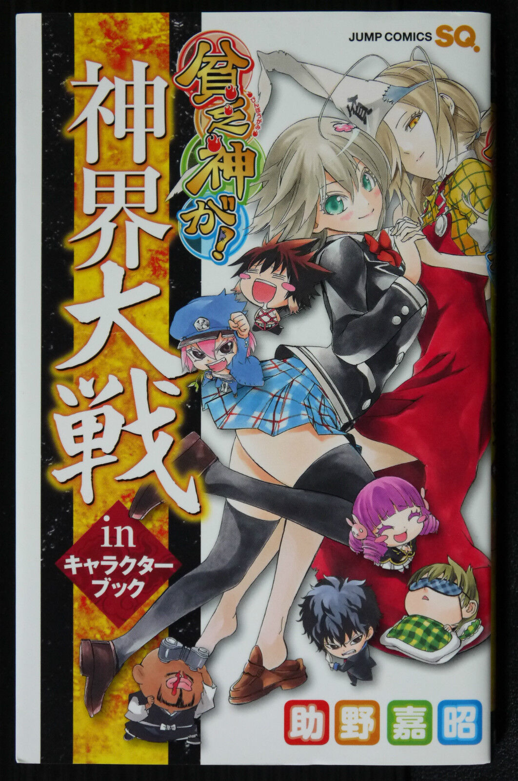 Good Luck Girl - Binbou-gami ga \'Shinkai Taisen\' Character Book from Japan