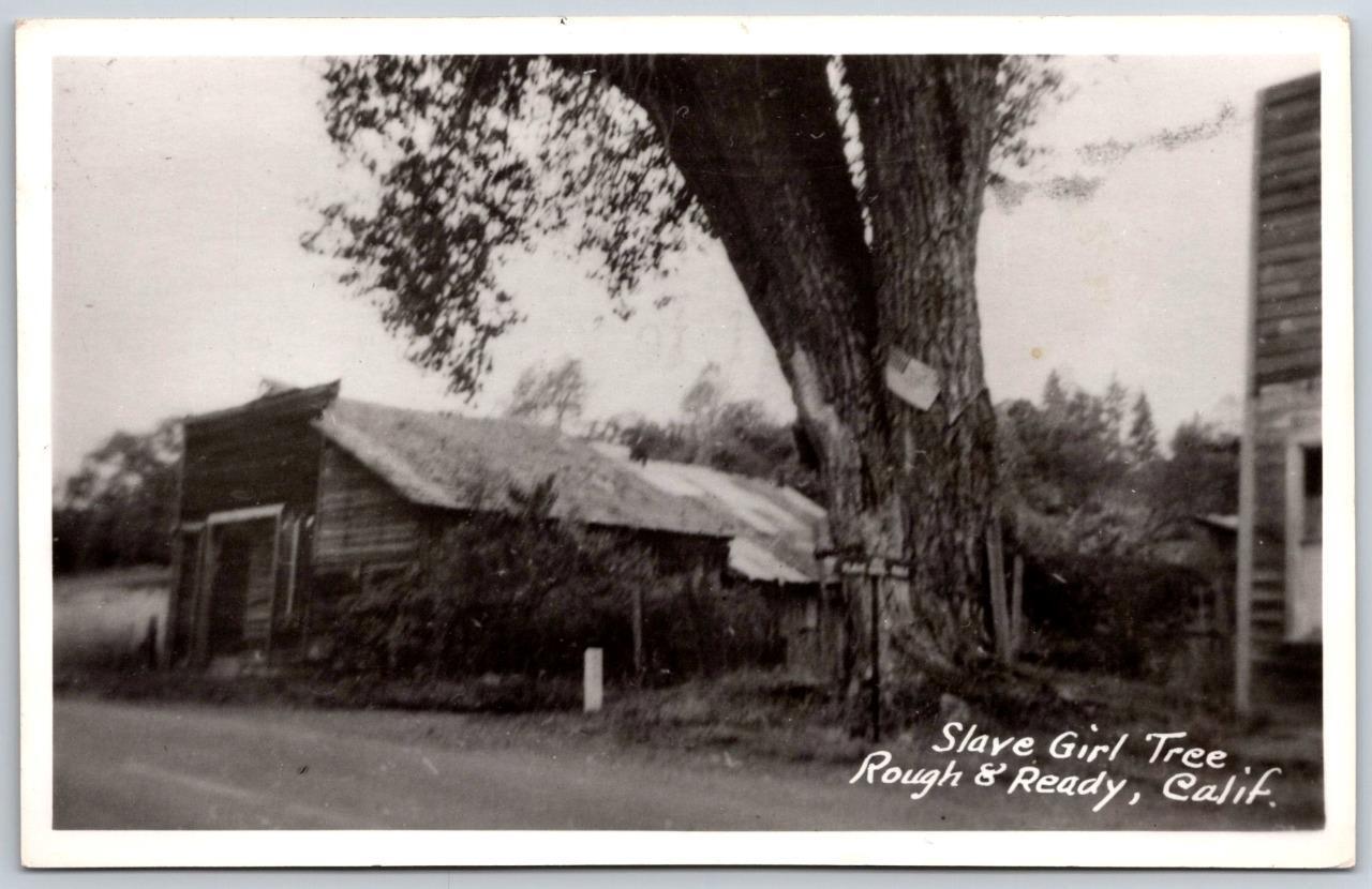 CA - ROUGH AND READY CALIFORNIA 1957 RPPC Postcard SLAVE GIRL TREE