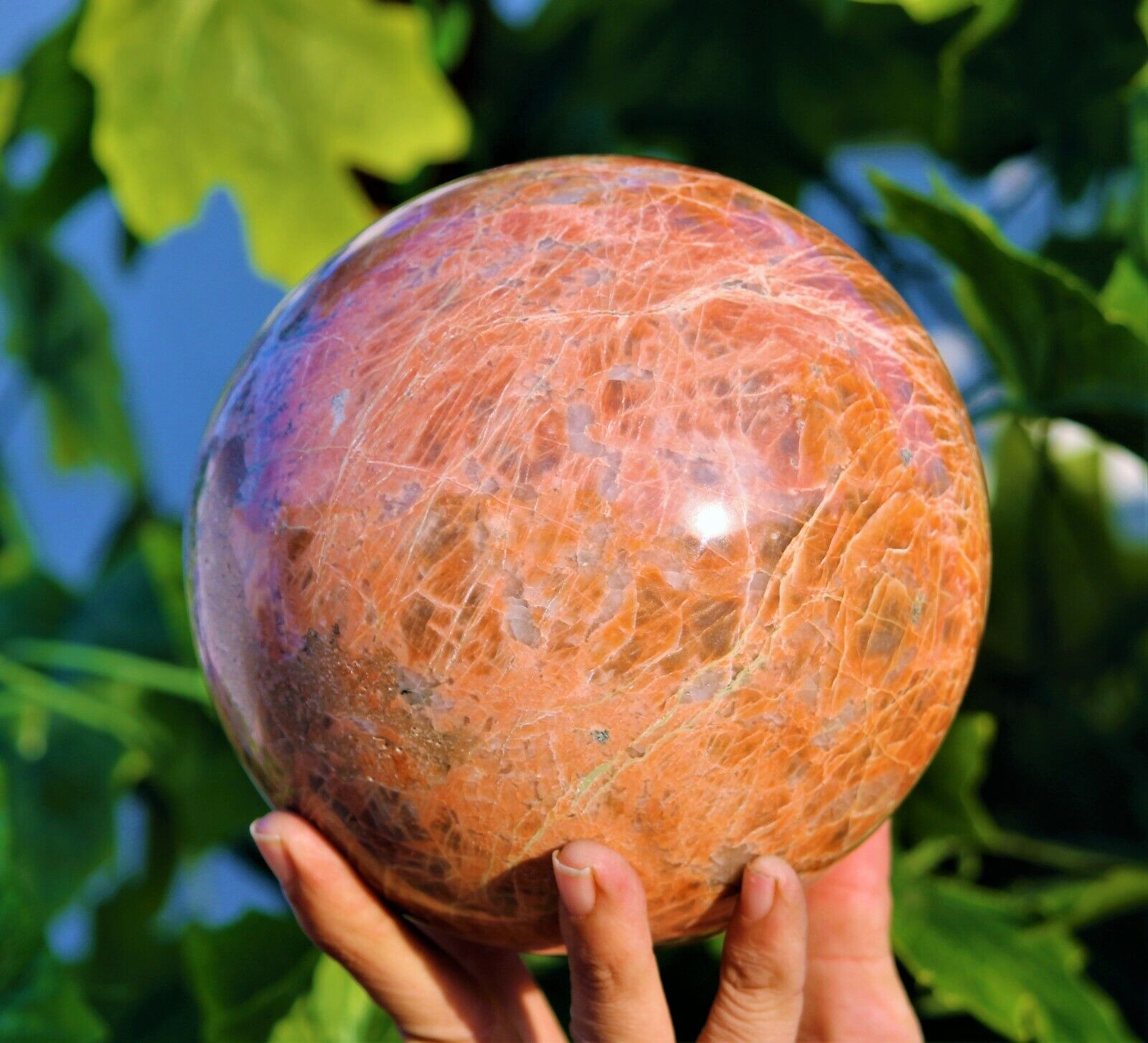 Lovely 140MM Natural Pink Rosophia Stone Aura Metaphysical Healing Power Sphere