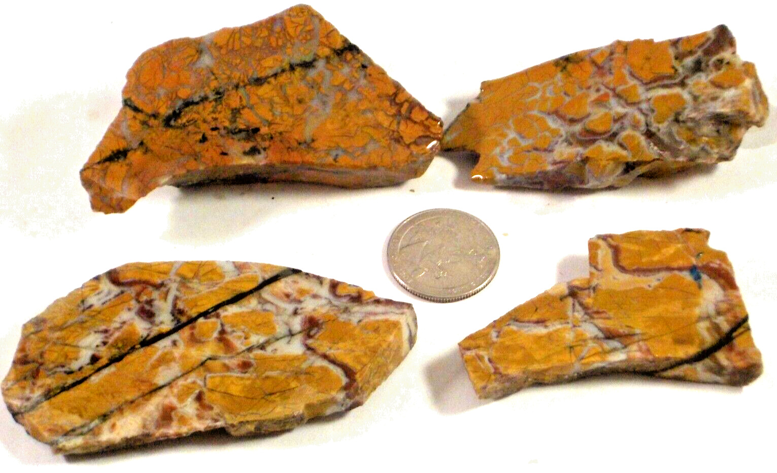 4 Rare Stone Canyon Jasper End Cuts Total 7.7 Oz  1st Picture Wet #3567