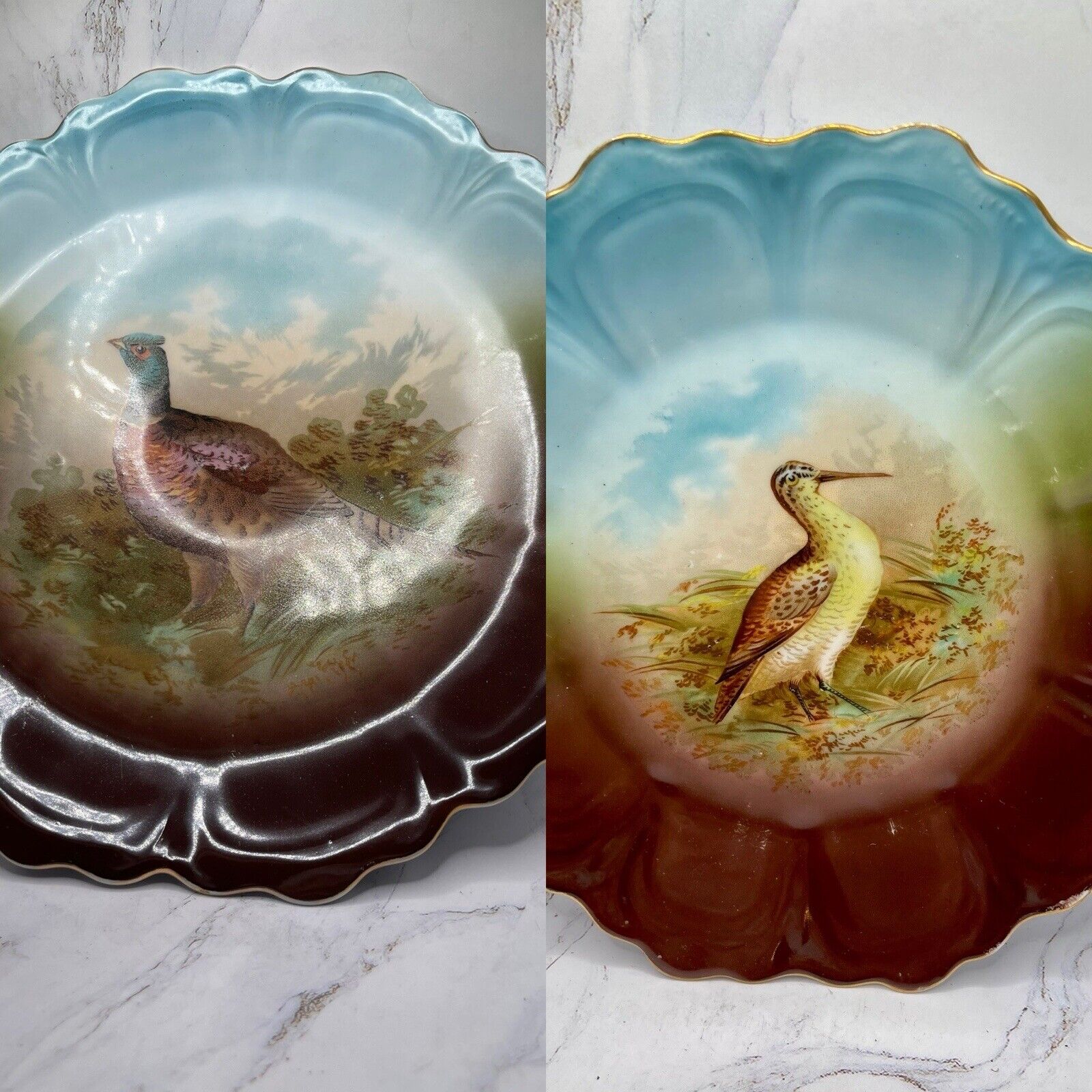 Z S & Co Bavaria Antique 1900’s 2 Game Birds Pheasant Woodchuck Wall Plates