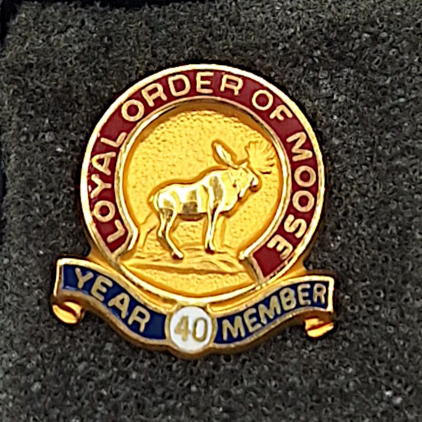 Loyal Order Of Moose Year 40 Member Pin Gold & Enamel Limited Edition