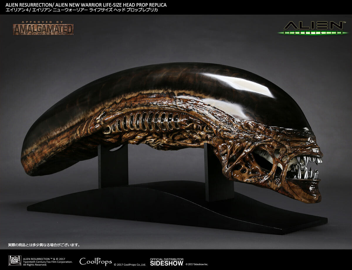 SIDESHOW COLLECTIBLES ALIEN WARRIOR LIFE SIZE Head 1:1  BUST COOLPROPS PREDATOR.