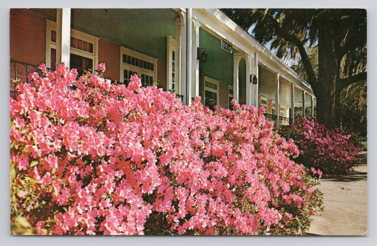 Postcard Lakeside Inn Mount Dora Florida 1963