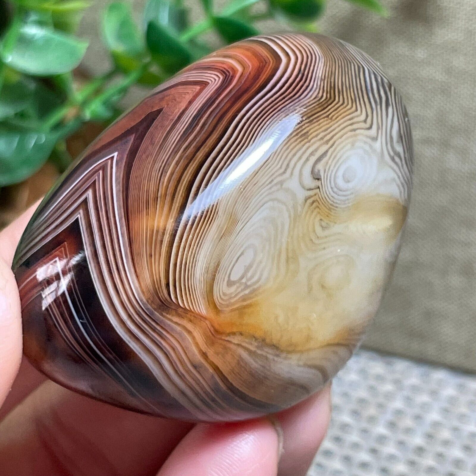 Crazy Lace SILK Banded Agate Polished Crystal Tumbled Stone Madagascar 78g A297