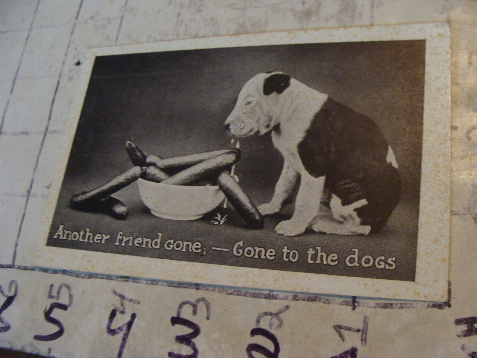 Orig Vint post card ANOTHER FRIEND GONE, GONE TO THE DOGS