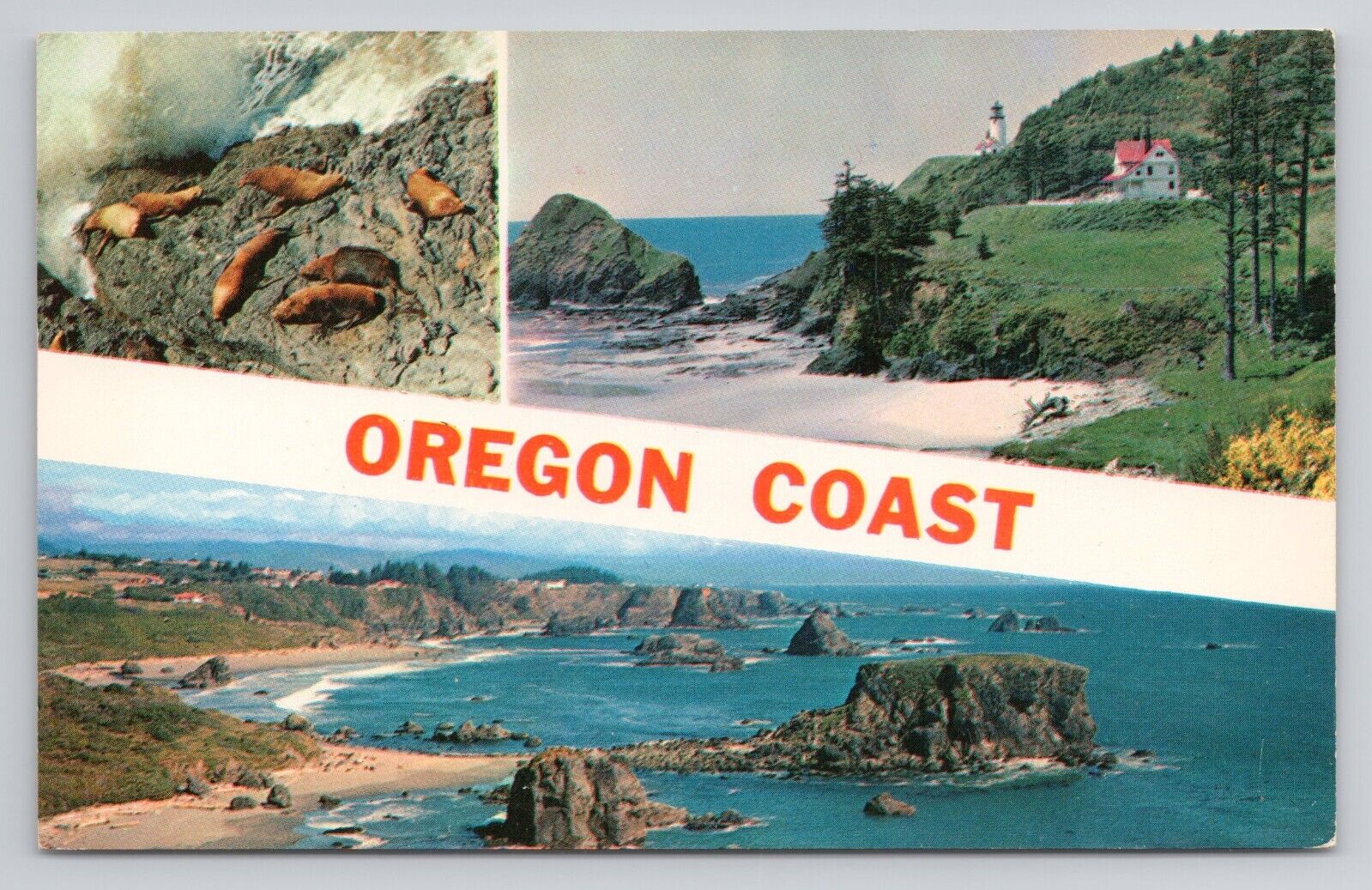 Oregon Coast Postcard 3369