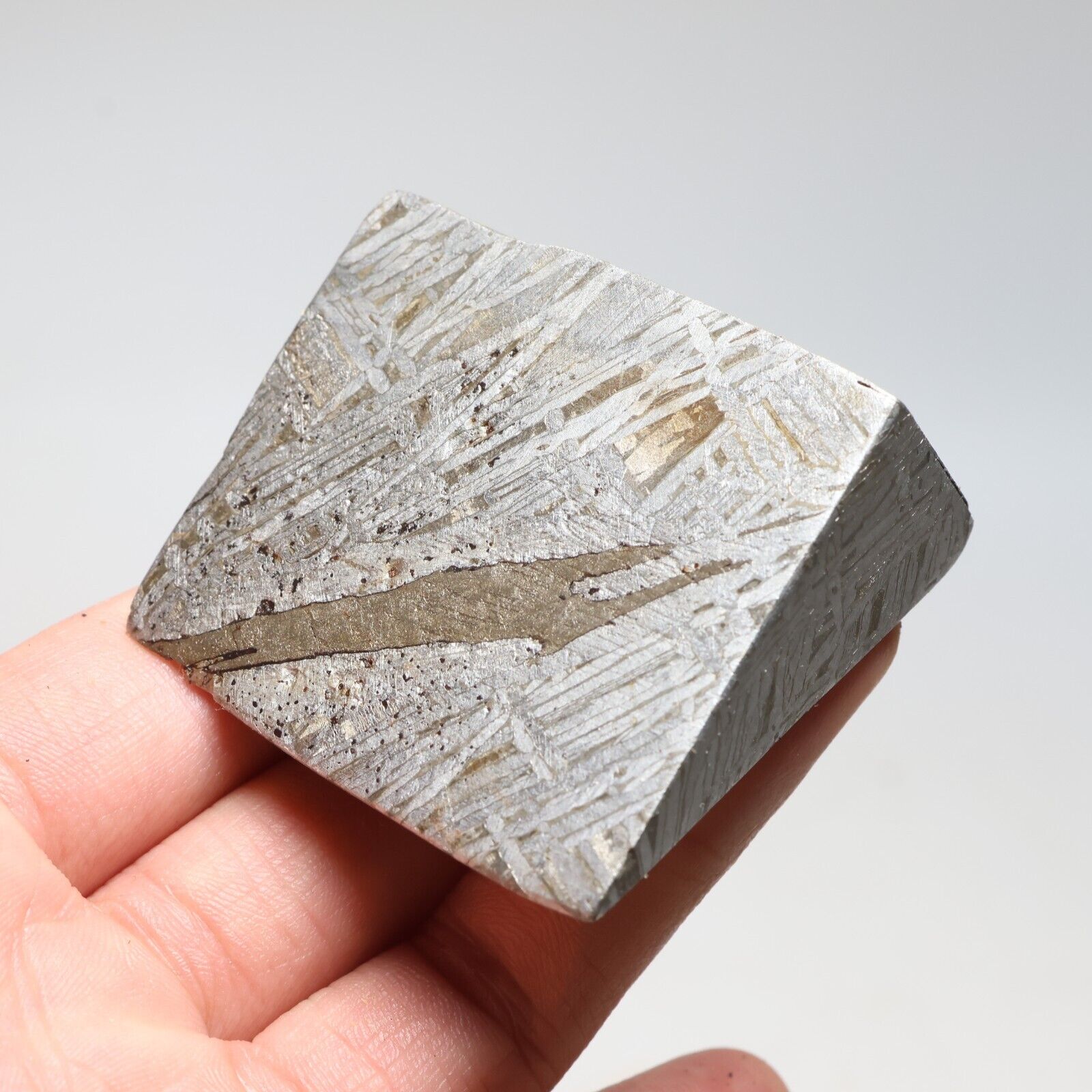 209g  Muonionalusta meteorite part slice C7430