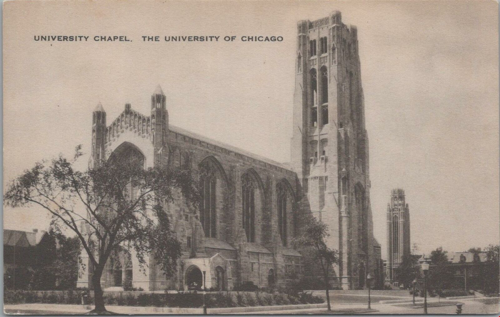 Postcard University Chapel The University of Chicago IL 