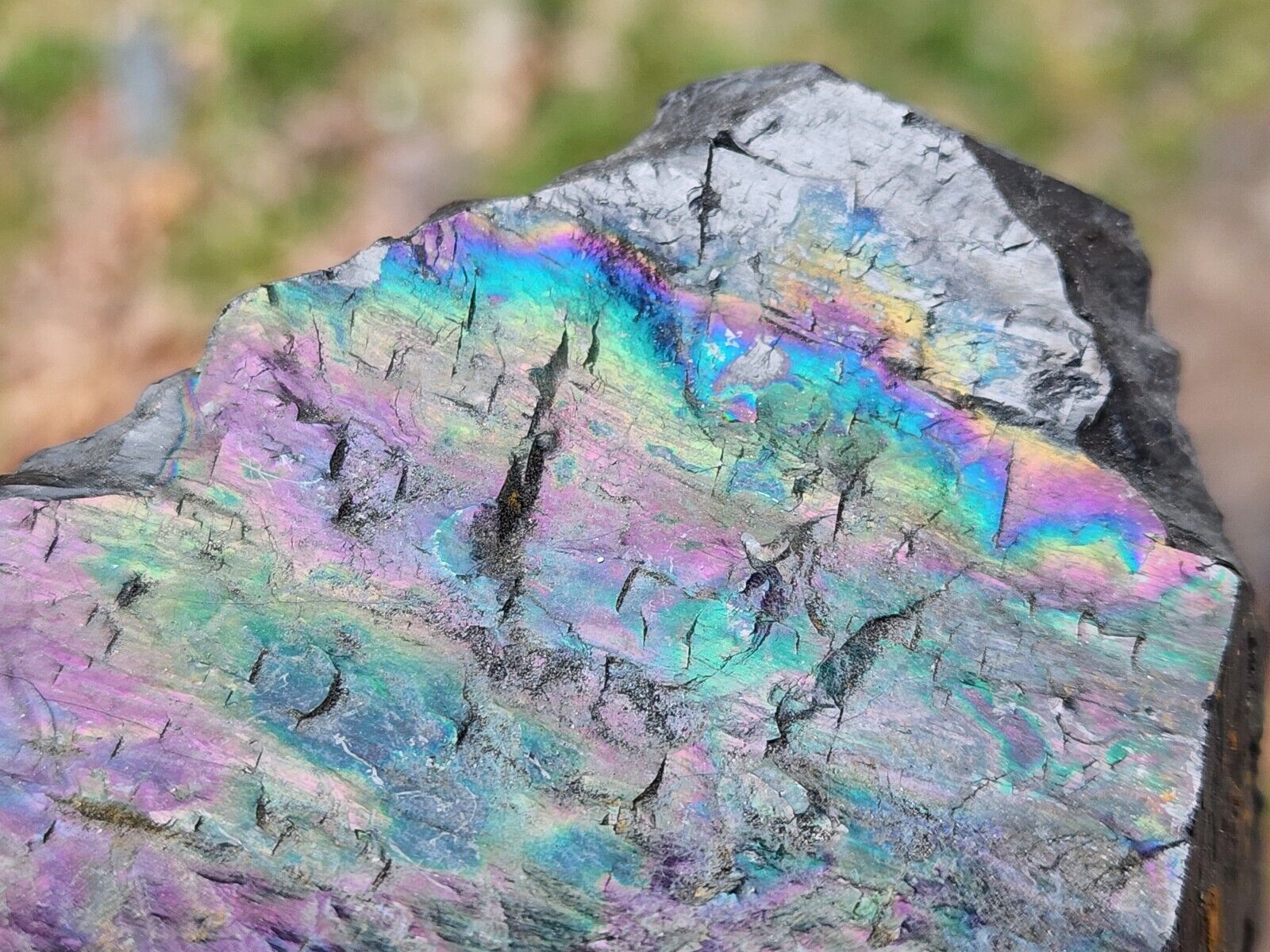 Large Iridescent PEACOCK COAL Rainbow Anthracite, Tresckow PA