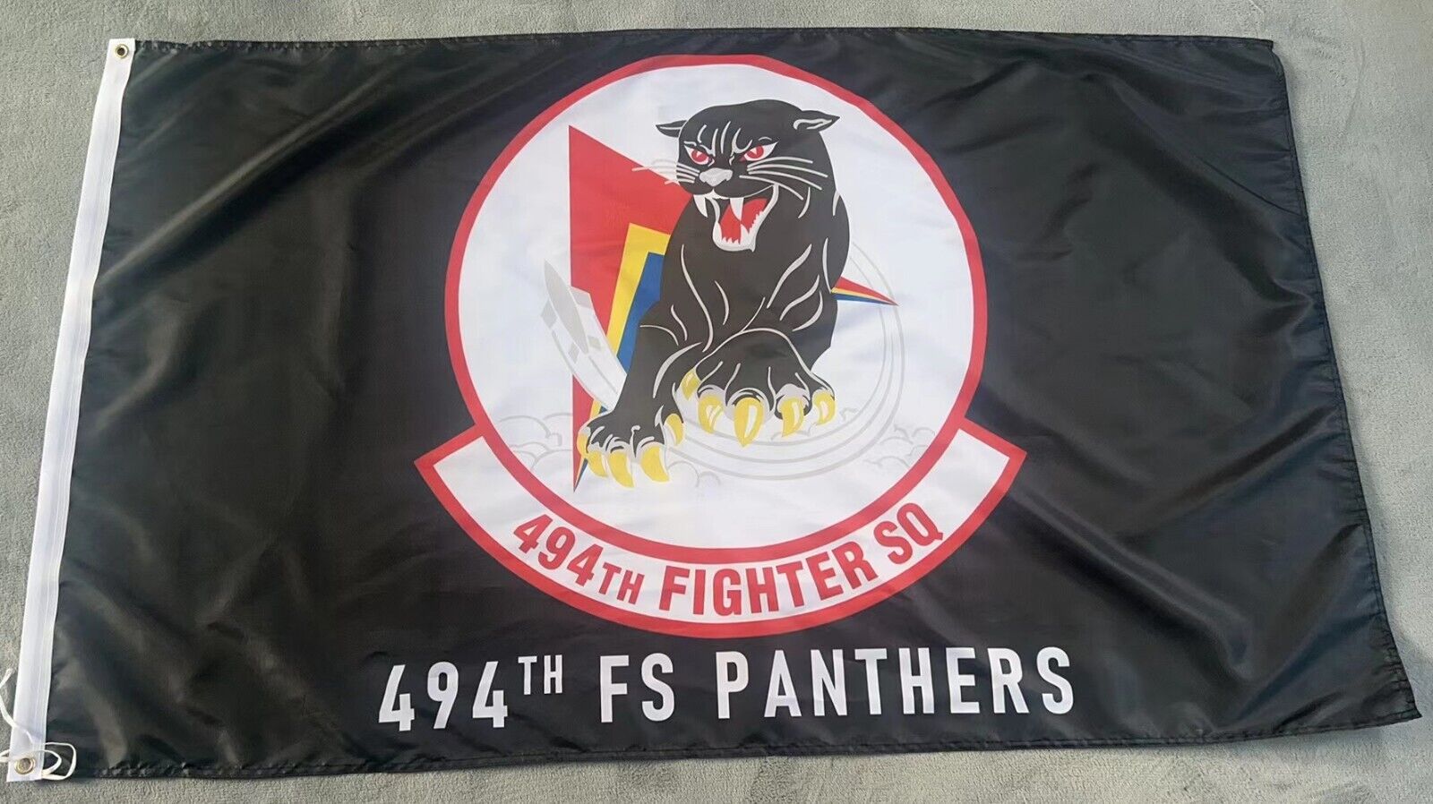 USAF 494th Fighter Squadron \