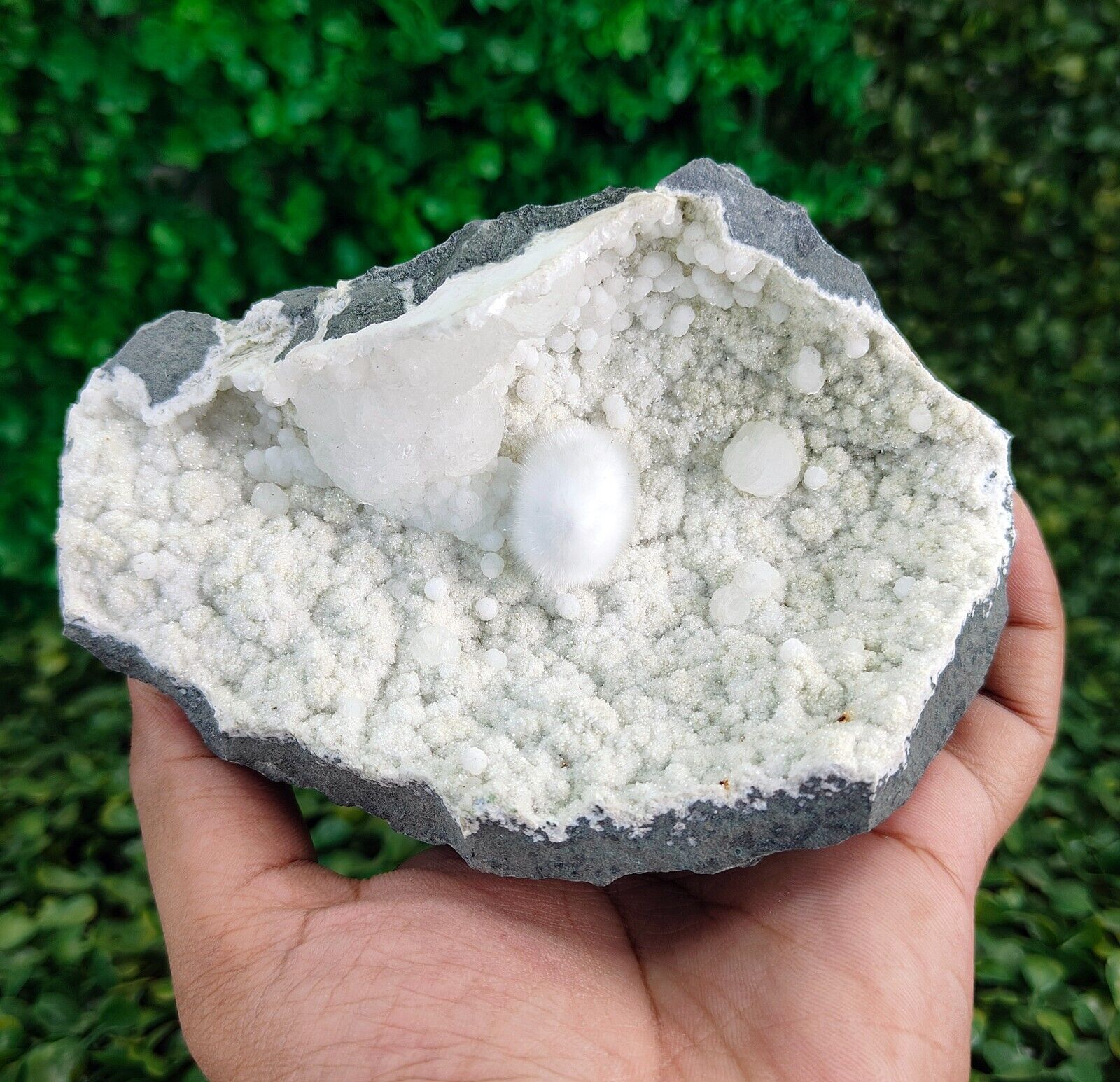 Natural Okenite with Gyrolite in Geode Mineral Specimen #E12
