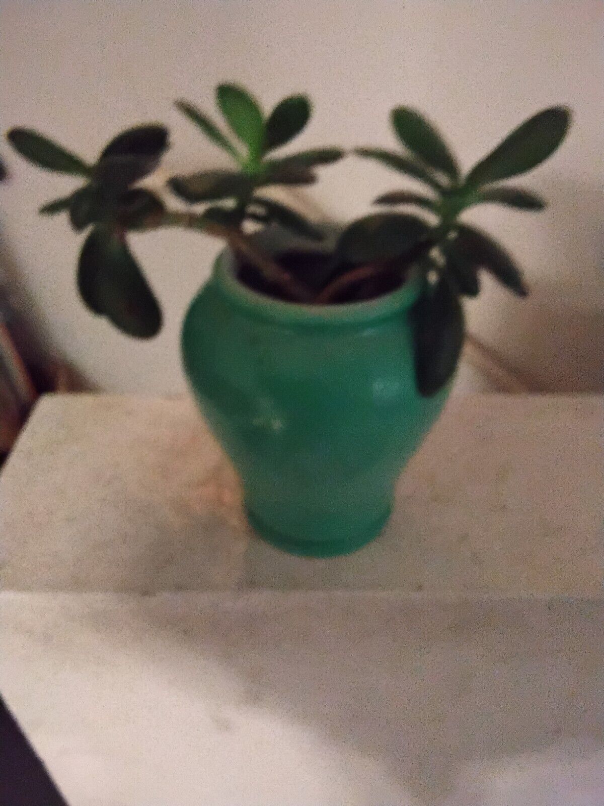 Small Green  Ceramic Planter Perfect For A Desk Or Table