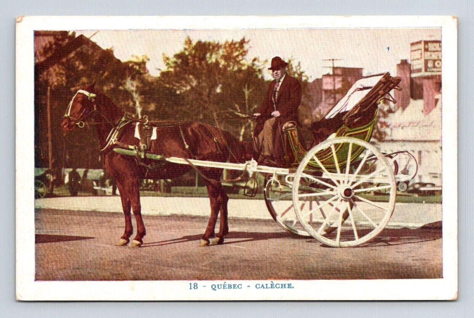 Quebec Caleche Canada Horse Drawn Carriage Postcard UNP VTG Unused Vintage