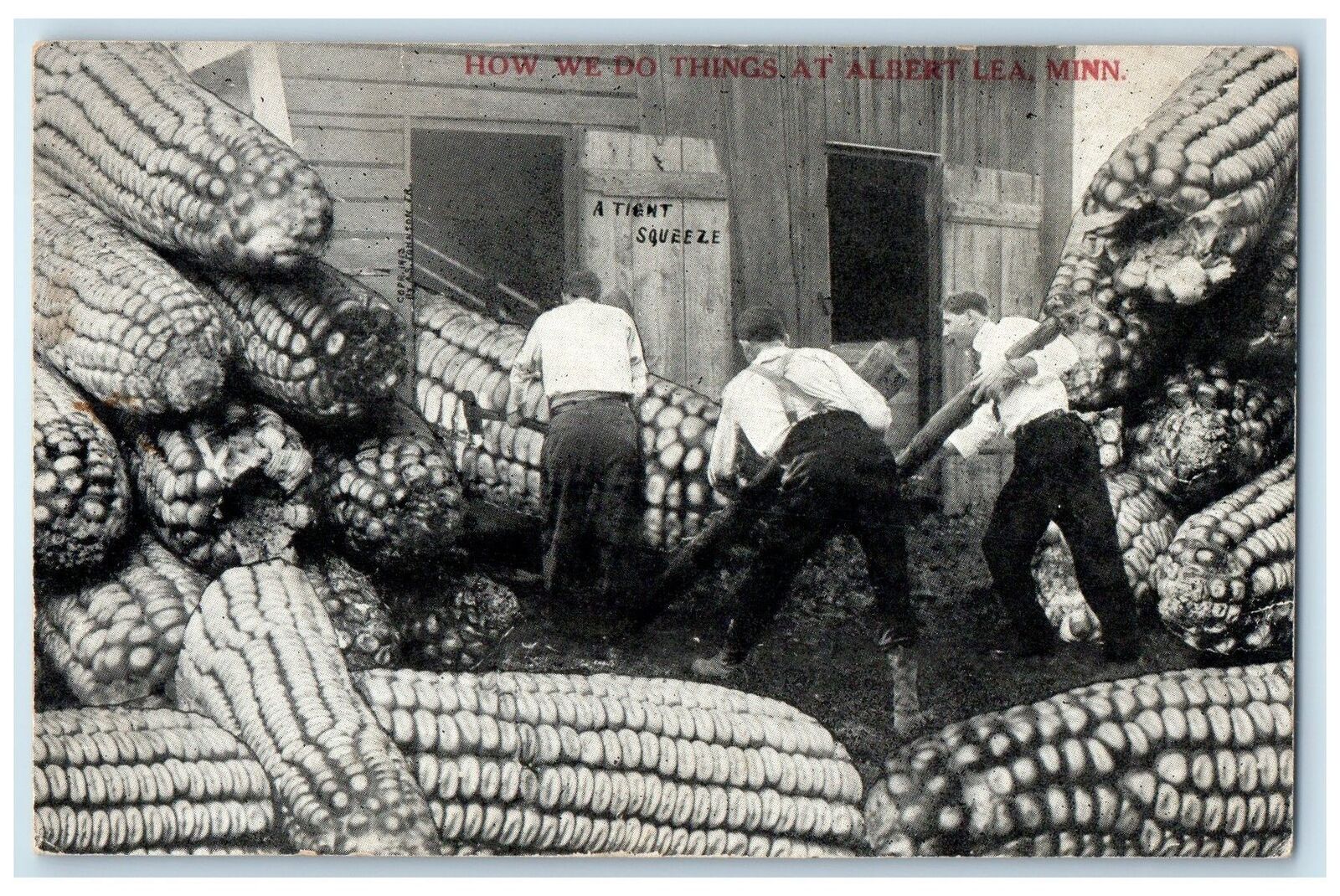 c1910's How We Do Things At Albert Lea Minnesota MN Exaggerated Corn Postcard