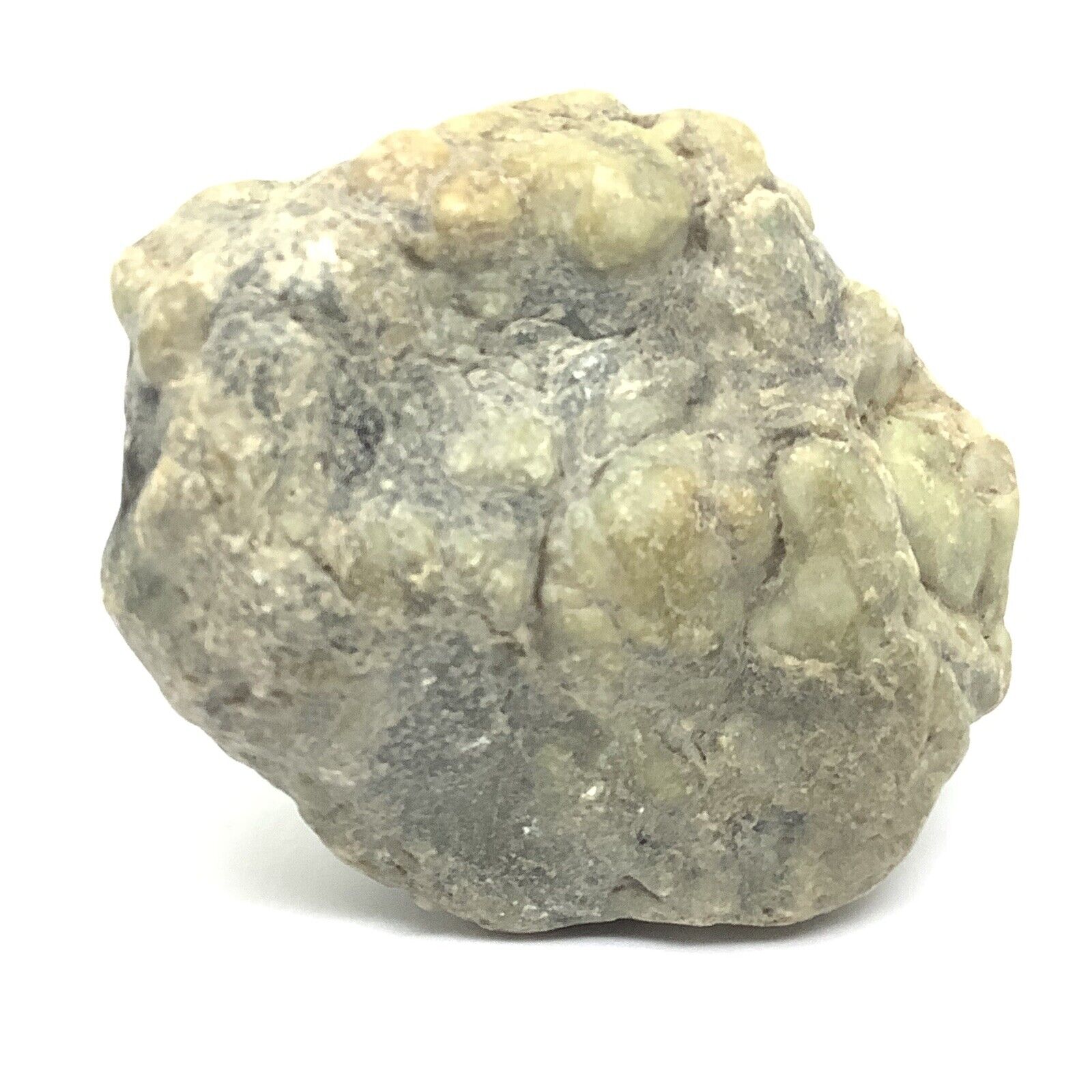 Washington Botryoidal Jade Stone Green Bubble Nephrite Jade Specimen WA State #2