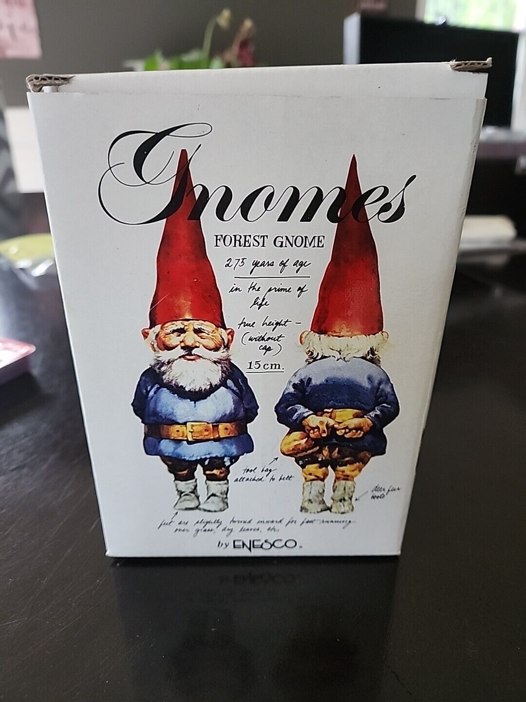 1993 Enesco Gnomes Klaus Wickl Richard and Rosemary in Box w/ Certificate 323632
