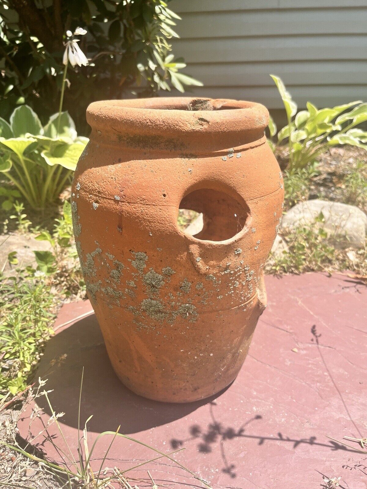 Vintage Garden Strawberry planter terracotta Pot