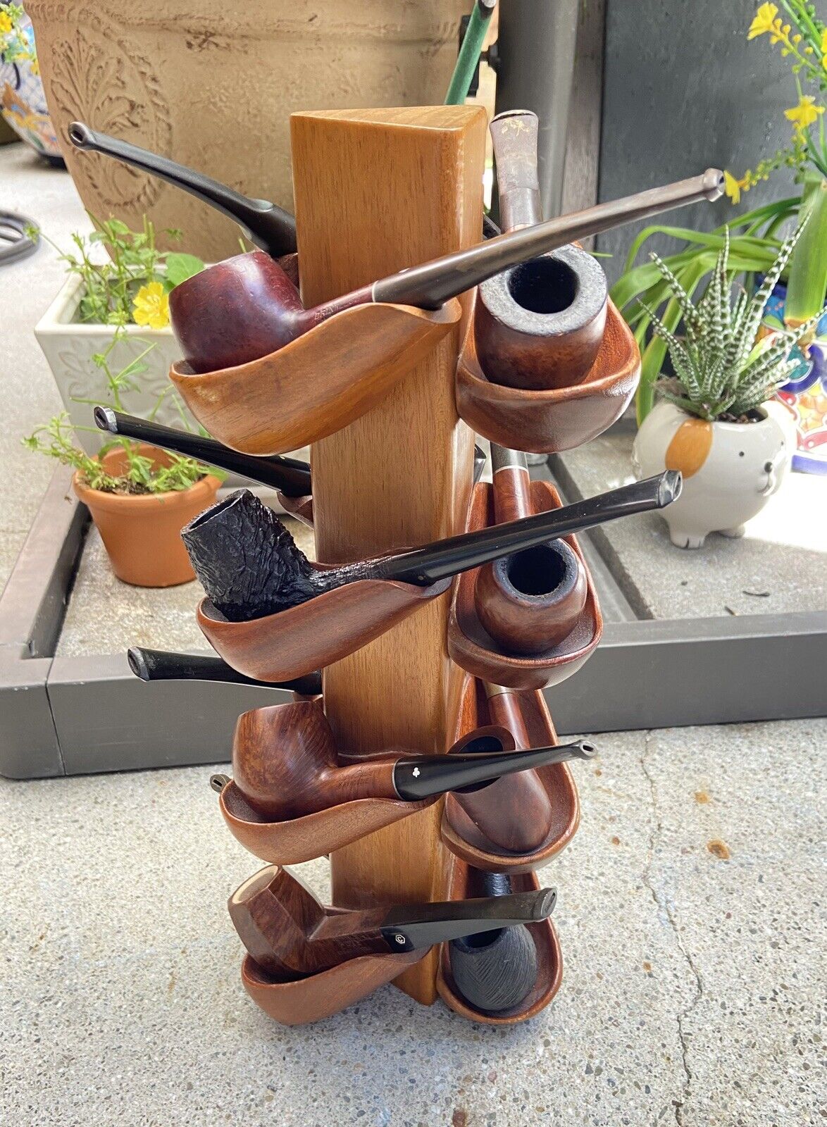 LOT OF 12 ENTRY LEVEL ESTATE PIPES W/STAND
