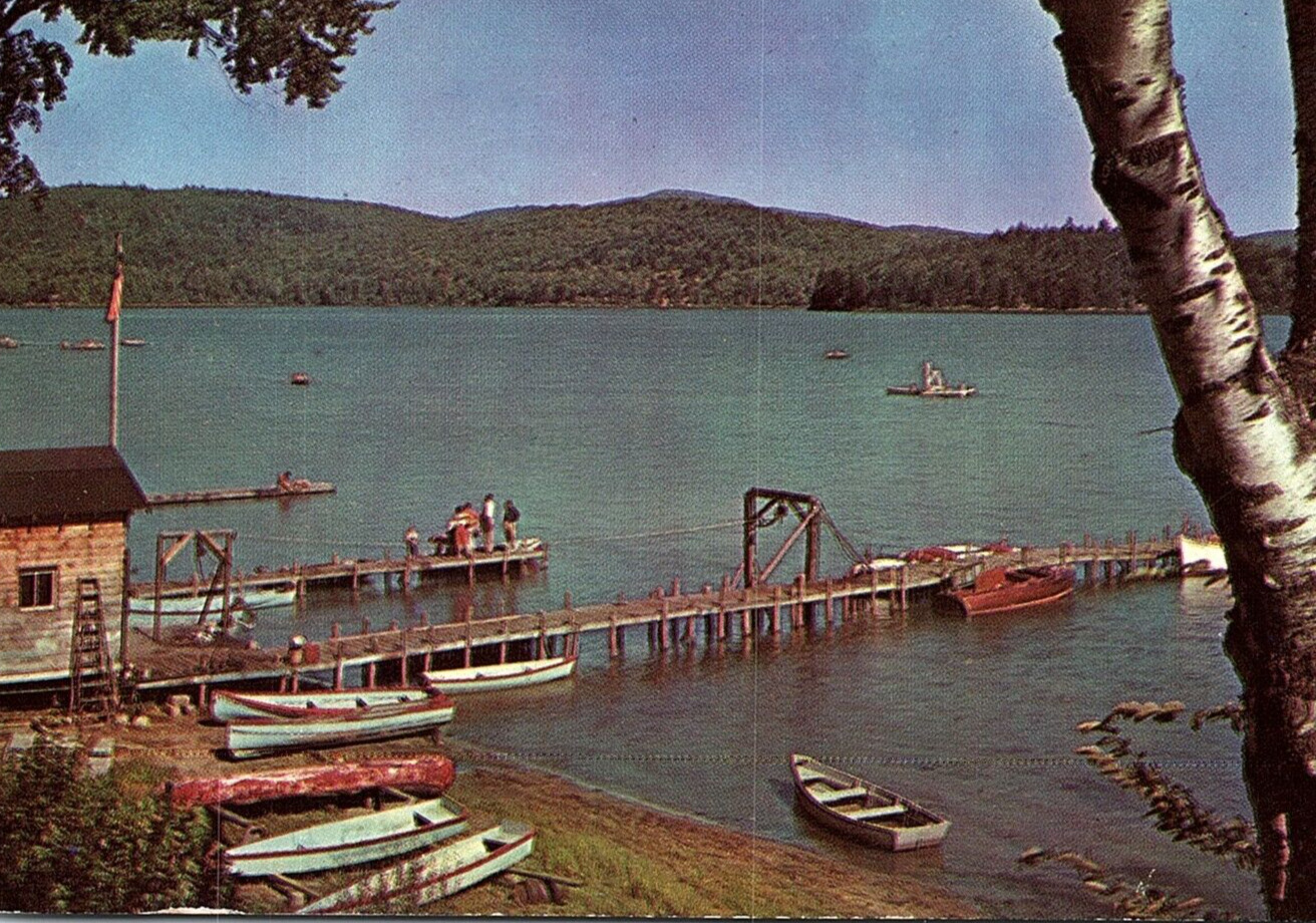1950s SCHROON LAKE NEW YORK BOATS DOCK US FLAG MOUNTAINS POSTCARD P910