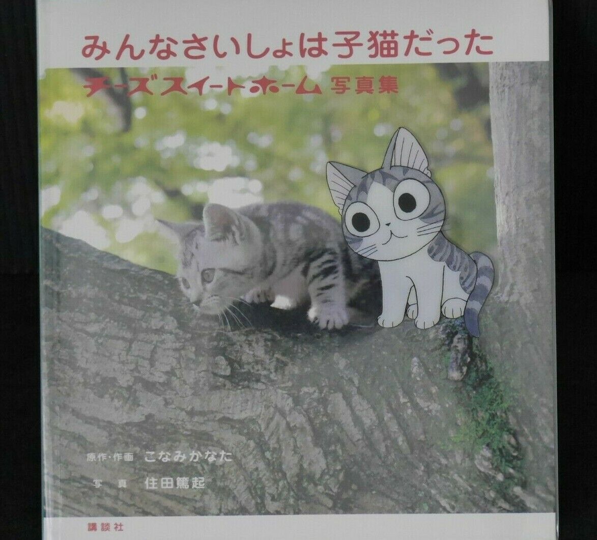 JAPAN Kanata Konami: Chi\'s Sweet Home Photo Book \