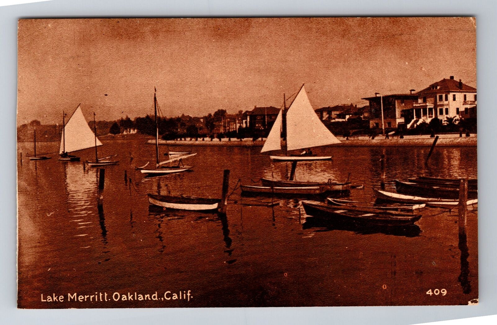 Oakland CA-California, Lake Merritt, Antique, Vintage Souvenir Postcard