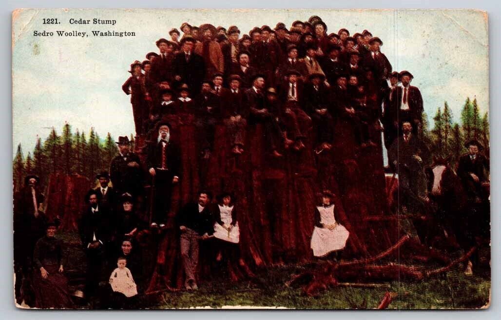 eStampsNet - Cedar Tree Sump Family Sedro Woolley Washington c. 1910 Postcard 