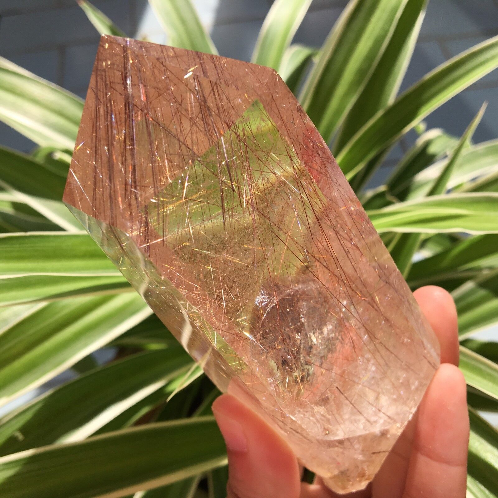  Rare Natural “Golden Hairs ” quartz crystal point healing 305.4g H084